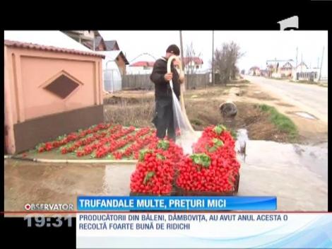 Prețurile la legumele de sezon, mai mici faţă de anul trecut