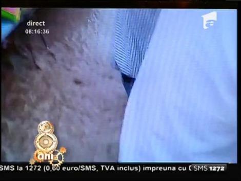 Smiley News! Cum arată o nuntă românească într-un sat din Vaslui: "Ospătare, îți aducem o barcă?"