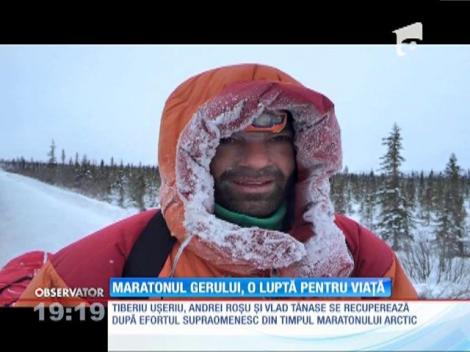Maratonul de la Polul Nord, o luptă pentru supraviețuire