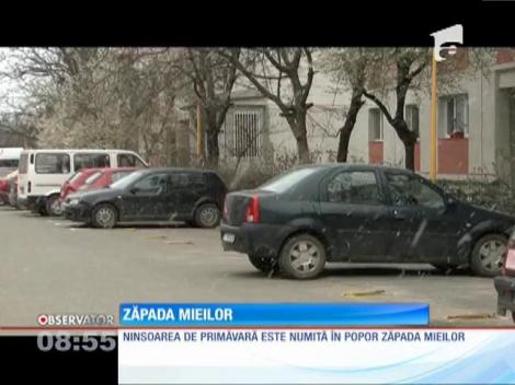 Zapada mieilor a pus stăp&acirc;nire pe Rom&acirc;nia