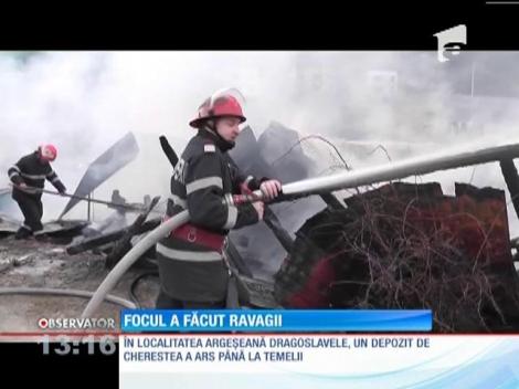Cadrele medicale au intrat în grevă japoneză