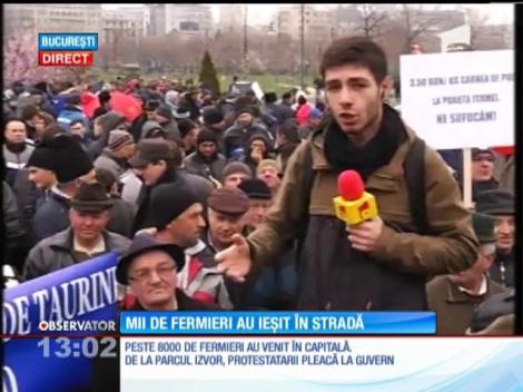Clipe tensionate la protestul crescătorilor de animale din Bucureşti