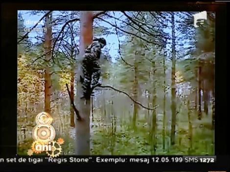 Hahaa, trebuie să o vezi pe asta!!! S-a aruncat din pom. Ce crezi că s-a întâmplat când a ajuns jos?