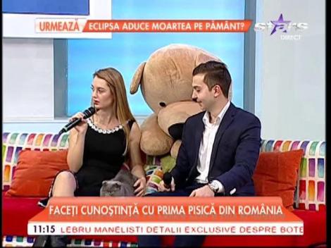 Vă mai amintiți de Bossulică? Prima felină angajată cu acte în regulă, invitată la „Star matinal”