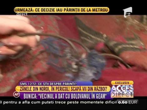 Cum arată casa zânelor din noroi după curățenia generală