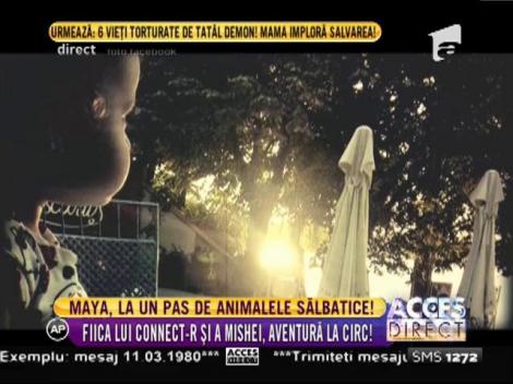 Fiica lui Connect-r şi a Mishei este tare curajoasă! Maya a mers să vadă animalele sălbatice şi a fost foarte aproape de ele!