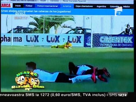 Smiley News: Cel mai tare cascador amator vine din Mama Rusie! Cum să dispari într-o groapă fără să vrei!