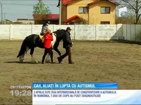 Caii vin în ajutorul copiilor cu autism