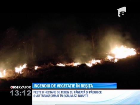 Flăcări mari pe dealurile de deasupra oraşului Reşiţa