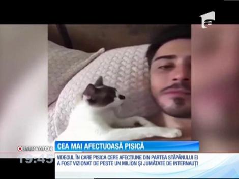 Cea mai afectuoasă pisică