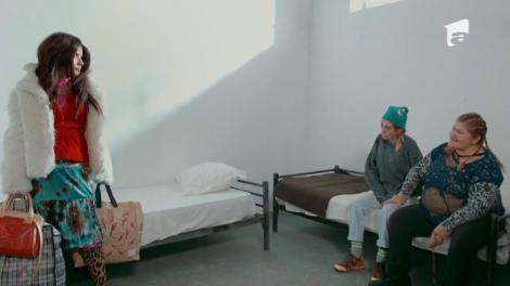 Narcisa, soţia regelui manelelor, Nicolae Guţă, ajunge la închisoare