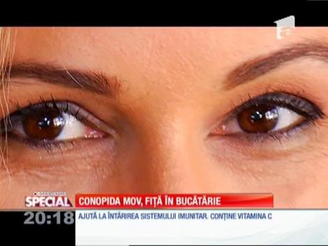 Special! Conopida mov, fiță în bucătărie