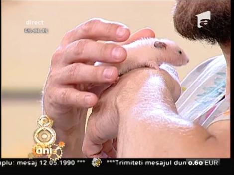 Magie, distracţie şi bucurie