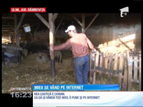 Mieii se vând și pe internet