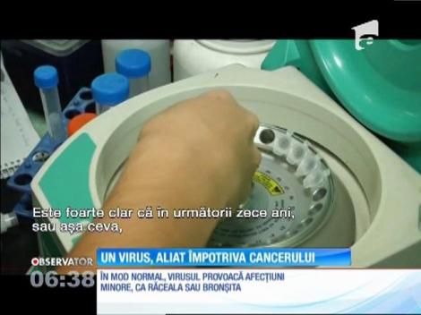 Un virus care provoacă, în mod normal, răceli şi alte afecţiuni minore ar putea deveni aliatul organismului în lupta cu cancerul