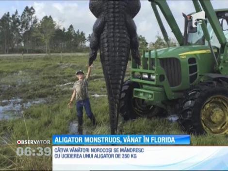 Un aligator ce măsoară aproape 5 metri a fost prins în timpul unei expediţii în Florida