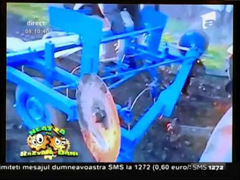 Smiley News: Rușii fac și lucruri bune. Serele ex-sovietice sunt inegalabile