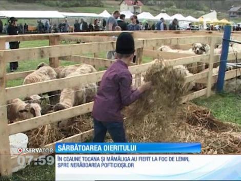 Cele mai bune rase de oi au fost prezentate la un târg organizat într-o comună din Alba