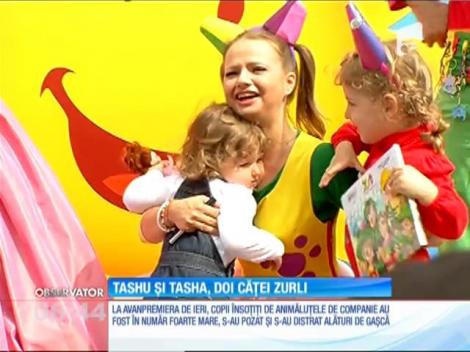Tasha şi Tashu sunt cei mai noi membri ai echipei Zurli