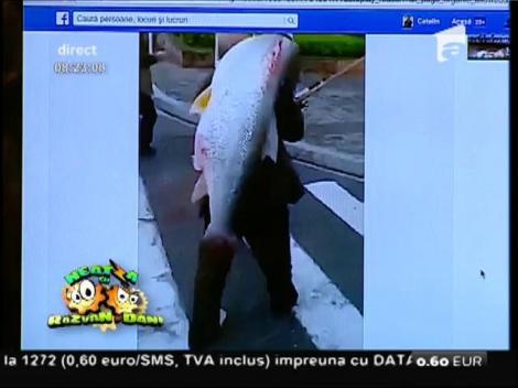 Smiley News: S-a plimbat cu peștele pe spate prin oraș!