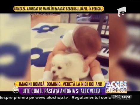 Dominic, fiul Antoniei și al lui Alex Velea, vedetă la nici doi ani! Cum i-a urat micuțul "La mulți ani!" mămicii sale celebre! Adorabil!