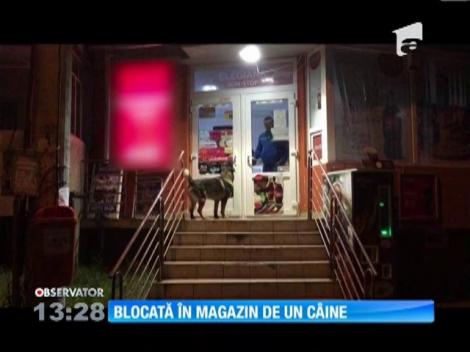 Vânzătoare blocată în magazin de un câine