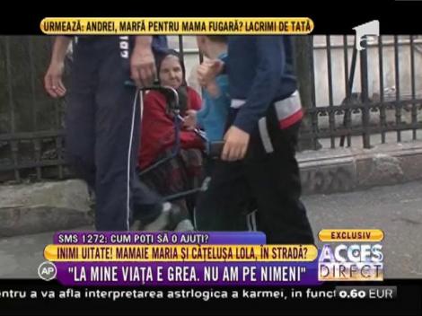 Mamaie Maria și cățelușa Lola, riscă să ajungă în stradă?