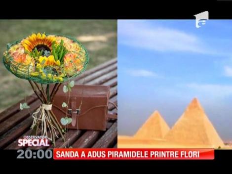 SPECIAL! Sanda a dus piramidele printre flori