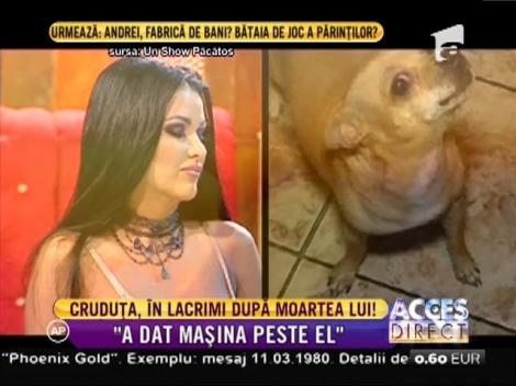Daniela Crudu, în lacrimi după moartea cățelului său