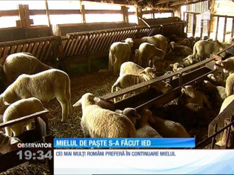 Friptura de pe masa de Paşte poate fi mai sănătoasă, dacă este înlocuit mielul cu iedul