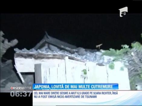 Japonia, lovită de mai multe cutremure