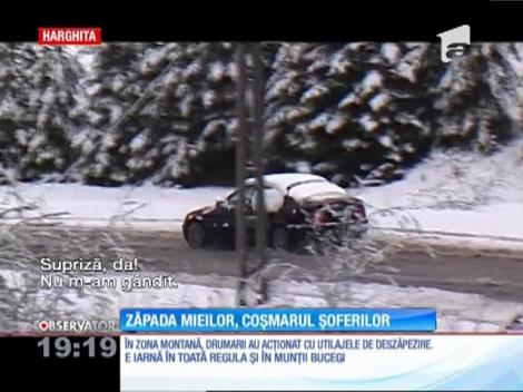 Zăpada mieilor, coşmarul şoferilor din Harghita