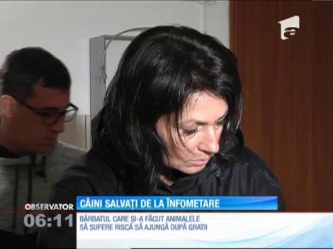 Trei câini maltrataţi de stăpân au fost salvaţi de la înfometare