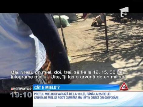 Cu cât se vând mieii de Paşte