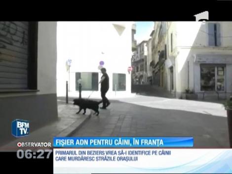 Probe de ADN pentru câini, pentru a păstra curăţenia străzilor, într-un orăşel din sudul Franţei