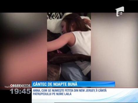 Cântec înduioșător de nopate bună pentru un câine