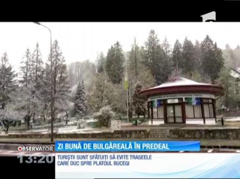 Decor de iarnă în staţiunea Predeal, în mijlocul primăverii