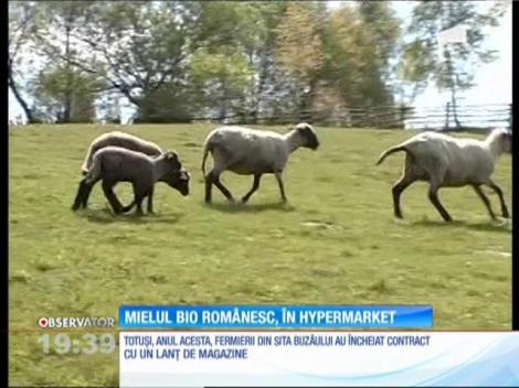 Mielul BIO românesc, în hypermarket