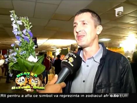 Concurs de aranjamente florale organizat de Ambasada Olandei