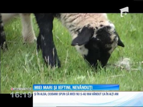 Carnea de miel nu mai e în preferinţele românilor pentru masa de Paşte