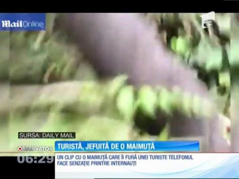 O tânără din China a fost jefuită în vacanţă de o maimuţă