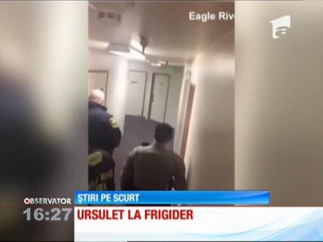 O familie de americani s-a trezit cu un urs în apartament