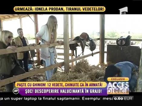 Descoperire halucinantă în grajd! Silvia, atac de panică!