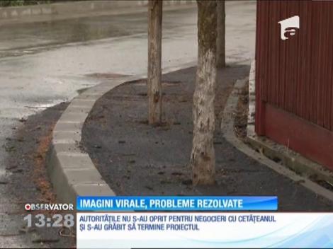 Copacii asfaltați din Breaza au fost scoși