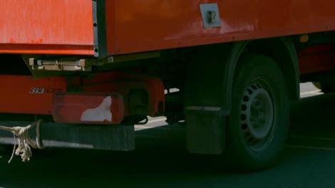 Antrenamentul echipei naționale a Rom&acirc;niei