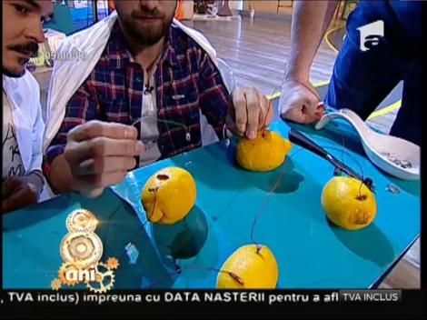 Dom' profesor, fizician, doctor, docent: "A se aprinde sau a nu se aprinde ledul?", aceasta-i întrebarea! Bateria din lămâi, provocarea de la ”Neatza"