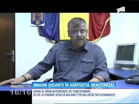 Imagini şocante într-un adăpost de animale din Piatra Neamţ