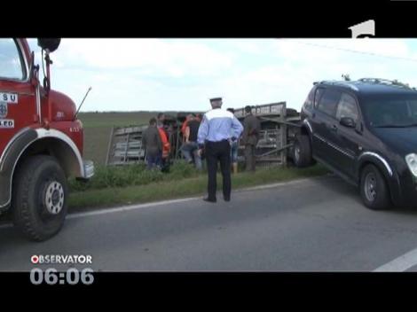 Opt oameni, răniţi într-un accident rutier pe o şosea din Timiş