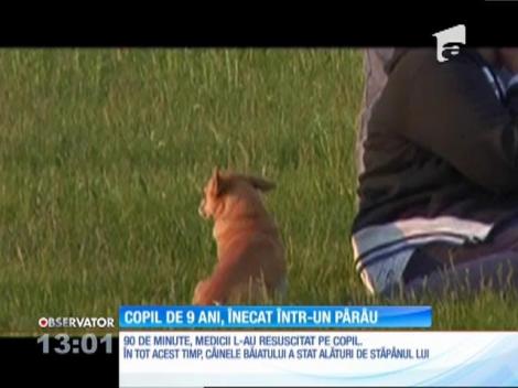 Copil de 9 ani, înecat într-un pârău. Lângă trupul care lupta cu moartea, căţelul familiei îşi susţinea stăpânul