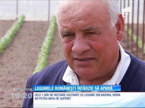 Legumele româneşti vor ajunge pe tarabe abia în iunie
